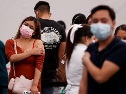 Las vacunas contra la influenza se aplicarán a partir de noviembre en México y no presentan incompatibilidad con las vacunas del COVID-19. EFE / J. MÉNDEZ