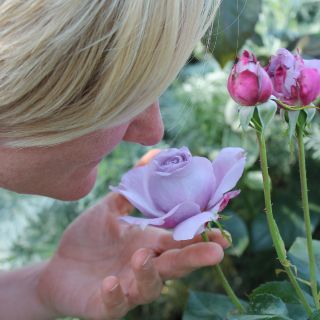 Recuperar el olfato tras la COVID-19, un largo camino