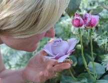 Volver a oler. Tras la COVID-19, algo que a veces no es sencillo. PIXABAY