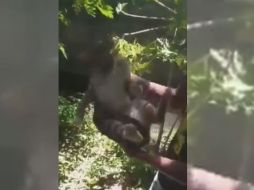 Versión de los colonos señalan que los menores fueron identificados y autoridades acudieron a entablar diálogo con sus familiares. TWITTER