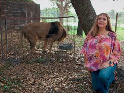 La serie fue seguida por más de 64 millones de personas en pandemia. EFE/ Netflix