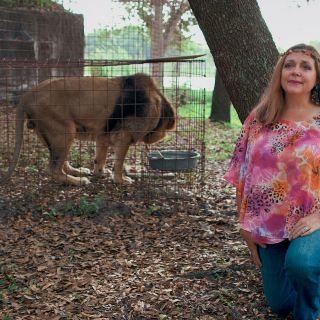 Carole Baskin demanda a Netflix por estreno de "Rey Tigre 2"