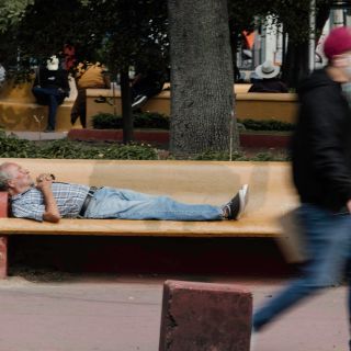 El DIF dice que plan a favor de indigentes es en conjunto