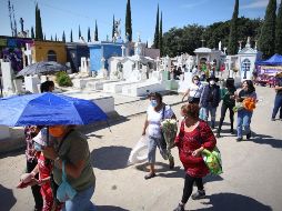 Se permite el acceso a grupos de máximo 10 personas. ESPECIAL/Ayuntamiento de Guadalajara