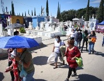 Se permite el acceso a grupos de máximo 10 personas. ESPECIAL/Ayuntamiento de Guadalajara