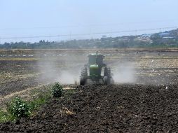 Lejos de simplificar al pequeño productor le están poniendo mayores condiciones, dijo el vicepresidente del CNA. EL INFORMADOR/Archivo
