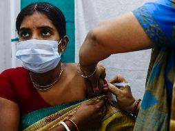 Covaxin es la octava vacuna contra el COVID-19 en ser aprobada por la OMS. AP / ARCHIVO