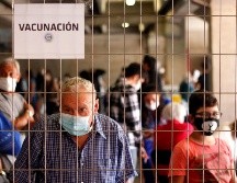 Debe aplicarse una dosis de refuerzo las personas mayores de 60 años que recibieron una vacuna de virus inactivado, como las chinas Sinovac o Sinopharm.  EFE / ARCHIVO