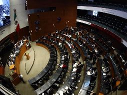 Burgos Hernández destacó que la  iniciativa se construyó en un proceso de parlamento abierto, donde fueron escuchadas mujeres, colectivos y especialistas, garantizando la libertad de expresión. SUN/ ARCHIVO