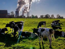 Durante la COP26 se han movilizado aproximadamente 18 mil millones de dólares en nuevos fondos para financiar la transición energética. AP/M. Probst