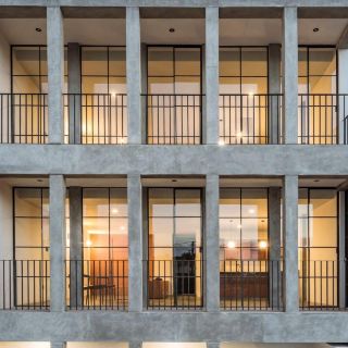 El crecimiento y la fuerza de 10 años, Levy Holding