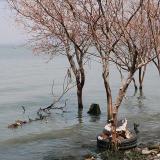 Conagua detecta altos niveles de residuos fecales en 26 puntos del lago de Chapala