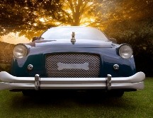 Vive la experiencia del último adiós de tu mascota / Foto: Cortesía Bye Bye Friend