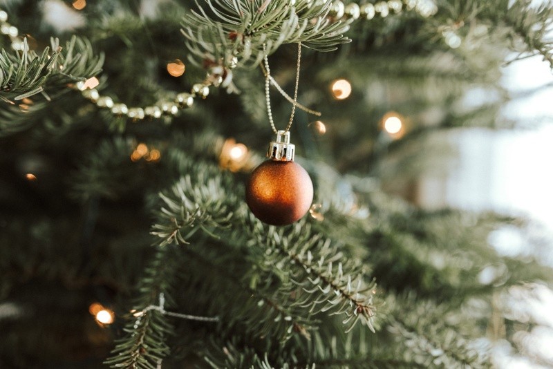 Navidad: ¿Cuándo se debe poner el árbol navideño? | El Informador