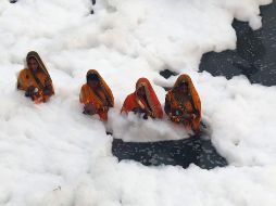 El río proporciona más de la mitad del agua de Nueva Delhi, lo que representa una seria amenaza de salud para sus habitantes. EFE/R. Gupta