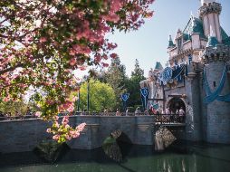 Un viaje lleno de fantasía que puedes disfrutar a cualquier edad / Photo by Avel Chuklanov on Unsplash