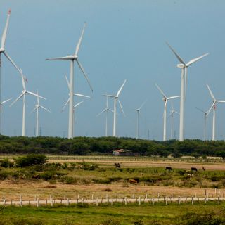 CFA anuncia primeros proyectos mexicanos que serán apoyados por Reino Unido