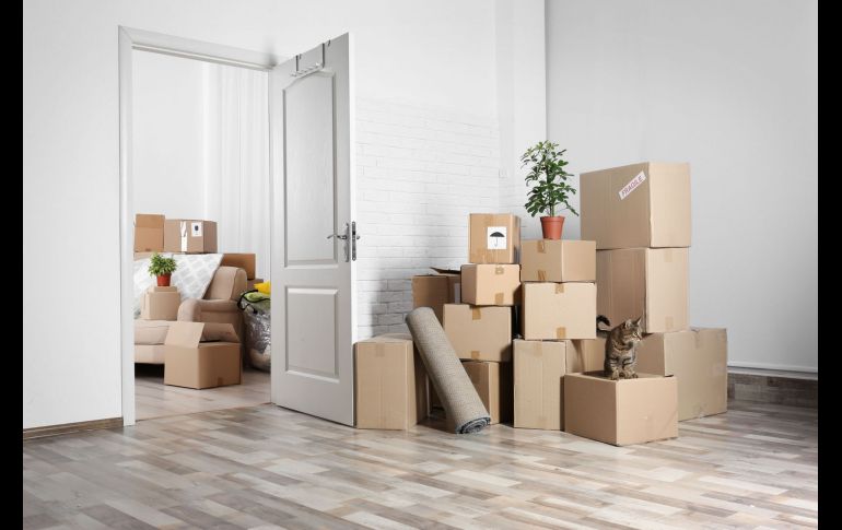 Las mudanzas son el momento perfecto para una limpieza total / Shutterstock