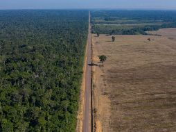 La Amazonia pierde mayor cantidad de superficie cada año, contrario al discurso oficialista de Brasil en la Cumbre Climática. AFP/Archivo