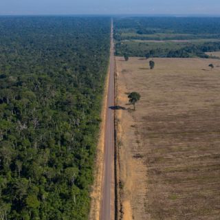 La deforestación de la Amazonia brasileña bate récord en octubre