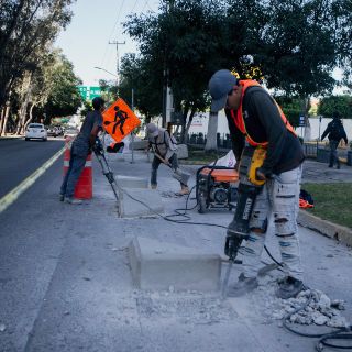 Sustituyen bolardos de la ciclovía de avenida México y gastan doble