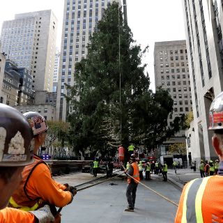 Navidad 2021: Pino navideño del Rockefeller Center llega a Nueva York