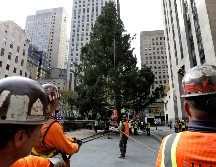 El abeto portará 50 mil luces multicolores y lo coronará una estrella de 400 kilos. EFE/P. Foley