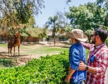 Aprovecha estos momentos para pasar tiempo de calidad / Foto: OFVCG