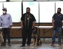 Los canes fueron piezas clave en el aseguramiento de droga y objetos que habrían puesto en riesgo la integridad de las personas. ESPECIAL / Seguridad Jalisco