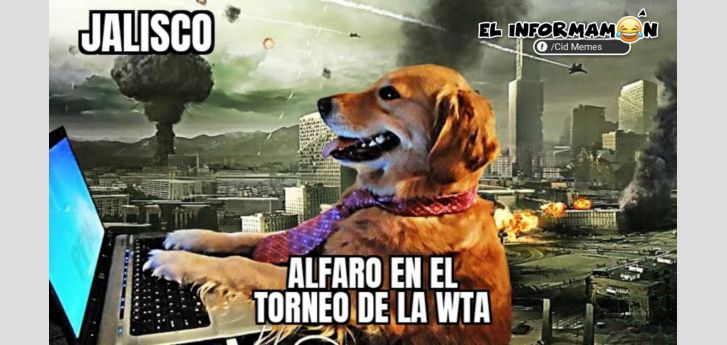 Alfie siempre en los mejores eventos