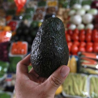 México negocia con Estados Unidos ampliar la exportación de aguacate de Jalisco