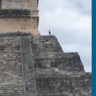 Viral: Perrito escala la pirámide de Chichen Itzá para observar el paisaje