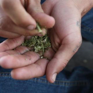 ¡Increíble! Canadienses podrán pedir marihuana en Uber Eats