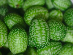 A pesar de su curioso aspecto híbrido, el cucamelón es un alimento originario de Centroamérica que se consume desde tiempos prehispánicos. PIXABAY