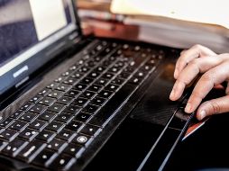 En la mayoría de los trámites oficiales en México, las personas necesitan la Clave Única de Registro de Población (CURP). EL INFORMADOR / ARCHIVO