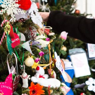 ¡Insólito! Multan a familia de Florida en época de Navidad por esta razón