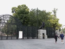 Una joven australiana asigna 