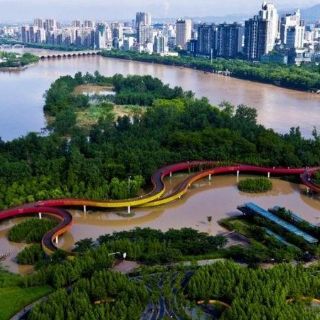 El hombre que quiere convertir las ciudades en "esponjas" para lidiar con las inundaciones