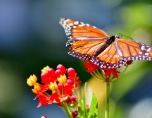 Foto: Juan Pablo Mascanfroni on Unsplash