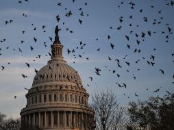 El único republicano que apoyó la medida fue Adam Kinzinger. AFP/D. Angerer