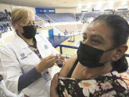 Prioridad. Autoridades de Salud aplicarán el refuerzo de la vacuna primero a adultos mayores y a profesores. EFE