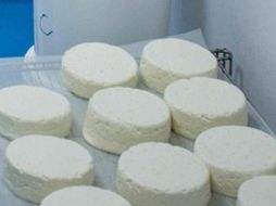 En total la Profeco hizo el estudio de 17 quesos panela, ocho quesos panela reducidos en grasas, dos quesos panela deslactosados, dos imitaciones de queso panela y otros. AFP / ARCHIVO