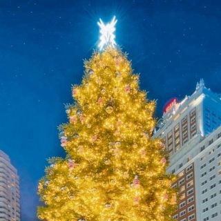 Madrid  se viste de Navidad