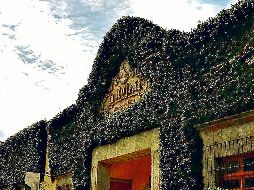 Tequila “destapa” la botella de los sueños