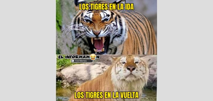 Tigres en la vuelta