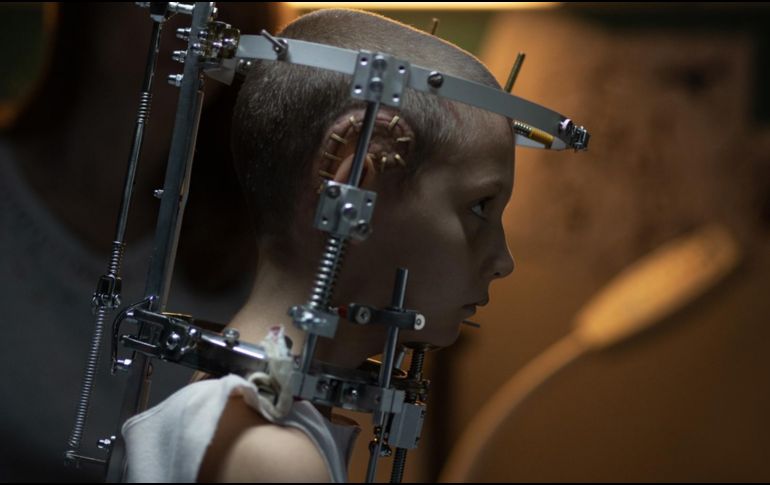 Titane. ESPECIAL/CINE CANÍBAL.