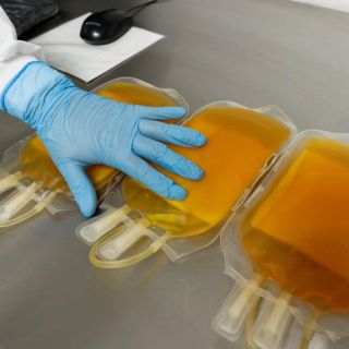 Plasma de convalecientes: El polémico tratamiento contra el COVID-19 que desaprueba la OMS