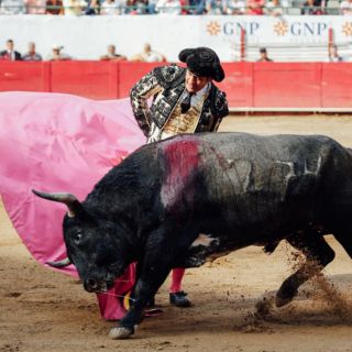 Ciudad de México: Avanza dictamen para prohibir las corridas de toros