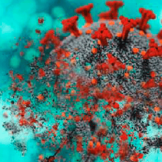 Variante ómicron de COVID-19: lo que se sabe hasta ahora y cómo protegerse