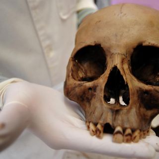 Narcosatánicos: ¿Quiénes eran y qué hicieron?